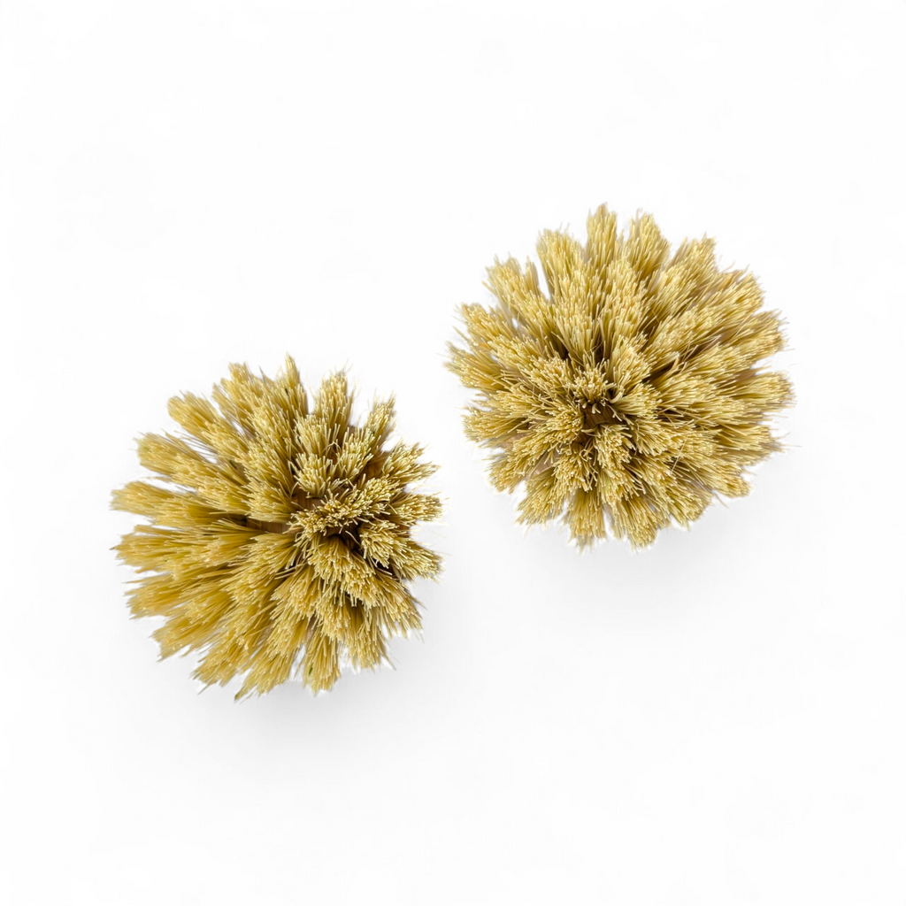 Wooden Dish Brush Replacement Heads | Bamboo and Plant Based Bristles Replaceable Heads (2 pack)